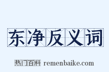 东净反义词是什么意思的图片